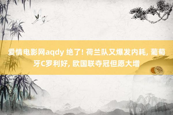 爱情电影网aqdy 绝了! 荷兰队又爆发内耗， 葡萄牙C罗利好， 欧国联夺冠但愿大增