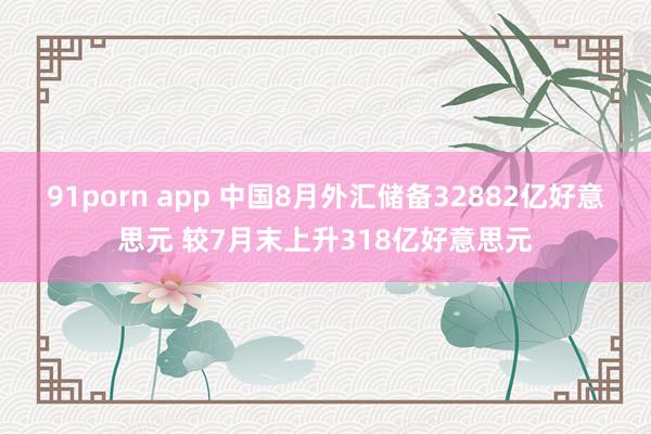 91porn app 中国8月外汇储备32882亿好意思元 较7月末上升318亿好意思元