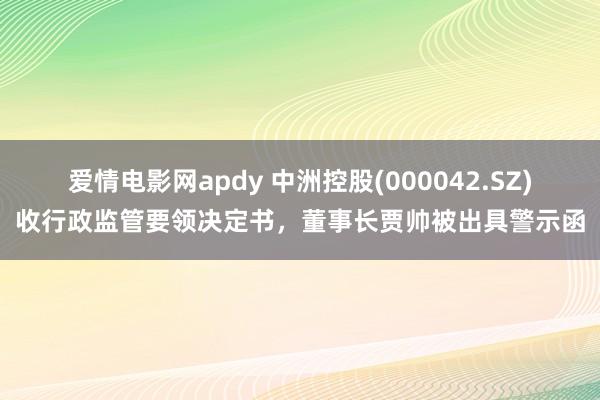 爱情电影网apdy 中洲控股(000042.SZ)收行政监管要领决定书，董事长贾帅被出具警示函