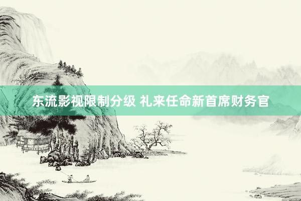 东流影视限制分级 礼来任命新首席财务官