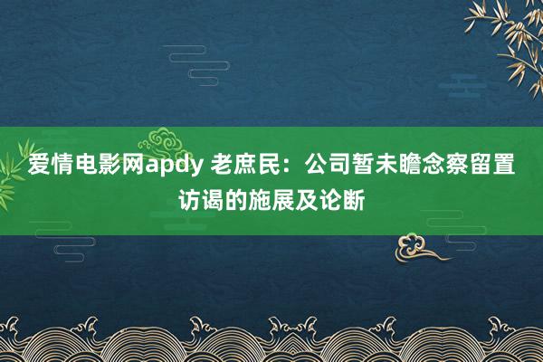 爱情电影网apdy 老庶民：公司暂未瞻念察留置访谒的施展及论断