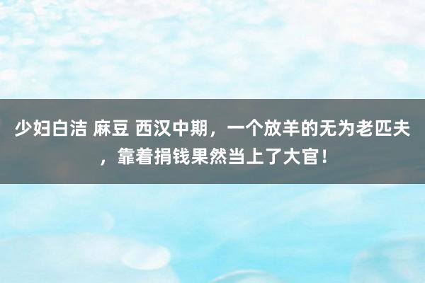 少妇白洁 麻豆 西汉中期，一个放羊的无为老匹夫，靠着捐钱果然当上了大官！