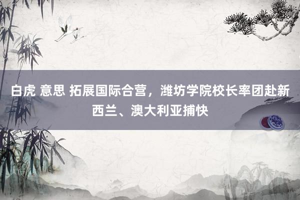 白虎 意思 拓展国际合营，潍坊学院校长率团赴新西兰、澳大利亚捕快