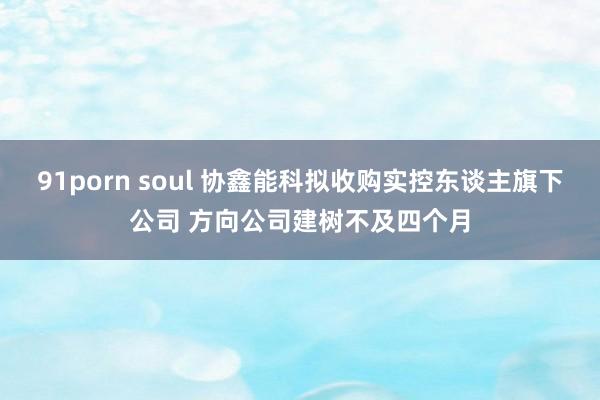 91porn soul 协鑫能科拟收购实控东谈主旗下公司 方向公司建树不及四个月