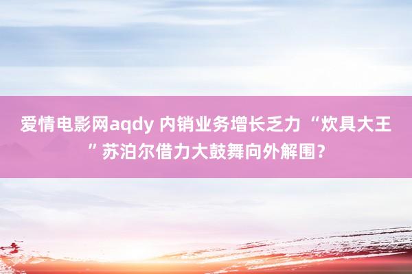 爱情电影网aqdy 内销业务增长乏力 “炊具大王”苏泊尔借力大鼓舞向外解围？