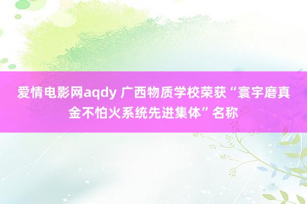 爱情电影网aqdy 广西物质学校荣获“寰宇磨真金不怕火系统先进集体”名称