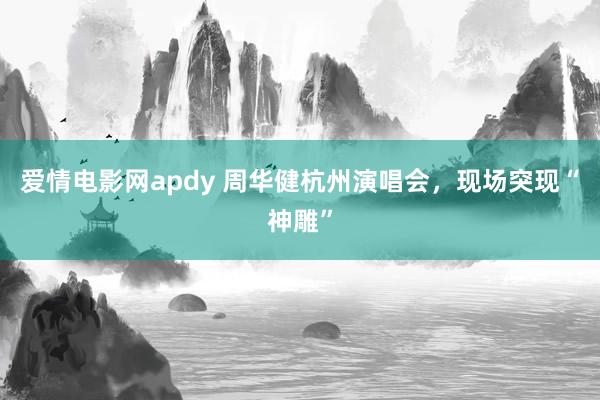 爱情电影网apdy 周华健杭州演唱会，现场突现“神雕”