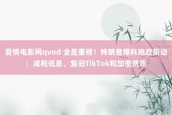 爱情电影网qvod 全是重磅！特朗普爆料施政策动：减税低息、复旧TikTok和加密货币