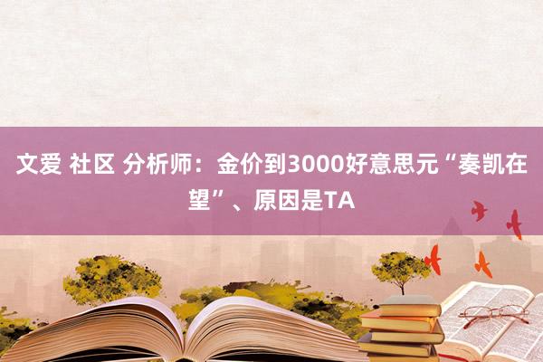 文爱 社区 分析师：金价到3000好意思元“奏凯在望”、原因是TA