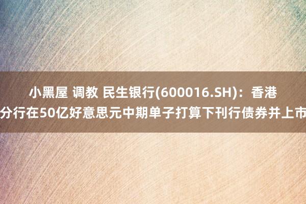 小黑屋 调教 民生银行(600016.SH)：香港分行在50亿好意思元中期单子打算下刊行债券并上市