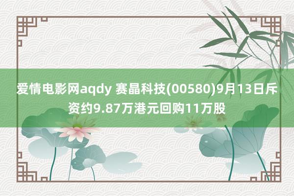 爱情电影网aqdy 赛晶科技(00580)9月13日斥资约9.87万港元回购11万股