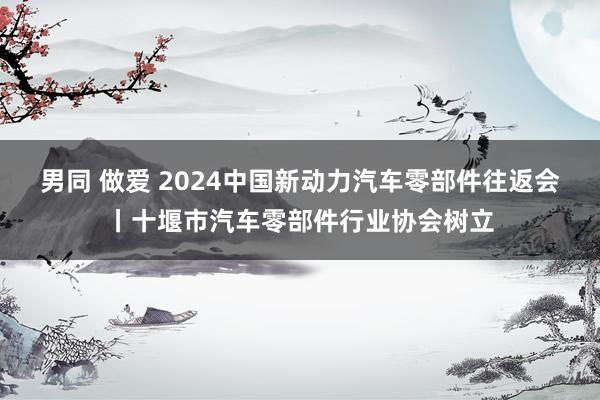 男同 做爱 2024中国新动力汽车零部件往返会丨十堰市汽车零部件行业协会树立