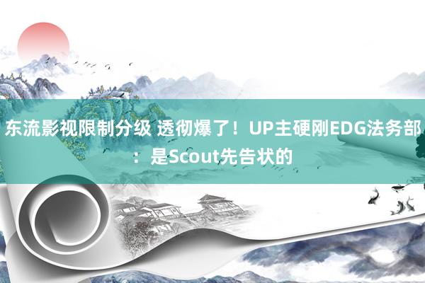 东流影视限制分级 透彻爆了！UP主硬刚EDG法务部：是Scout先告状的