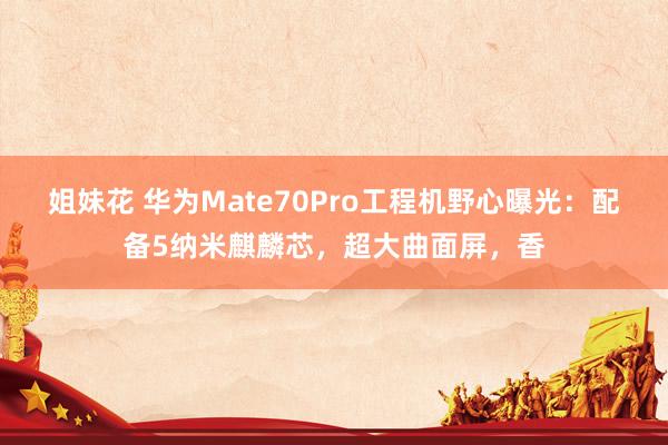 姐妹花 华为Mate70Pro工程机野心曝光：配备5纳米麒麟芯，超大曲面屏，香