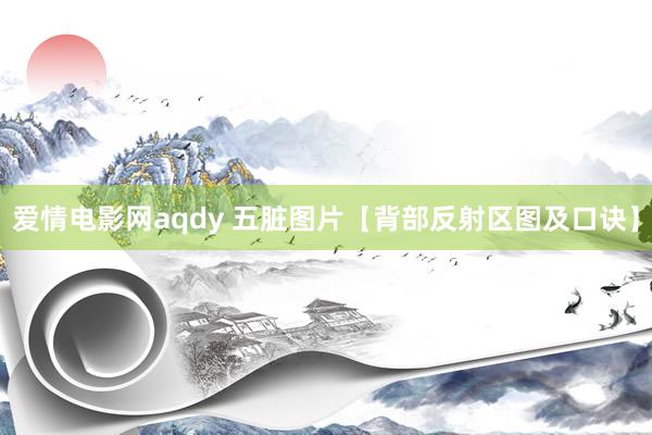 爱情电影网aqdy 五脏图片【背部反射区图及口诀】