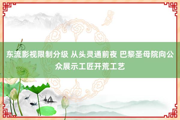 东流影视限制分级 从头灵通前夜 巴黎圣母院向公众展示工匠开荒工艺