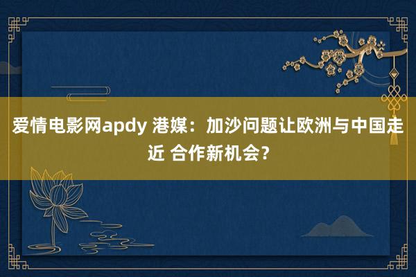 爱情电影网apdy 港媒：加沙问题让欧洲与中国走近 合作新机会？