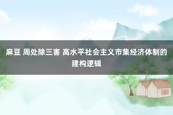 麻豆 周处除三害 高水平社会主义市集经济体制的建构逻辑