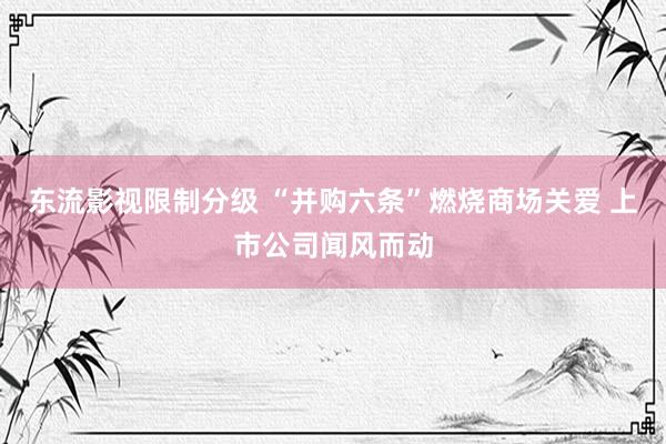 东流影视限制分级 “并购六条”燃烧商场关爱 上市公司闻风而动