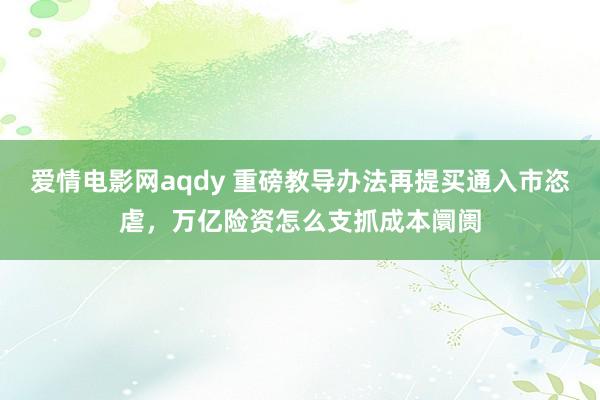 爱情电影网aqdy 重磅教导办法再提买通入市恣虐，万亿险资怎么支抓成本阛阓