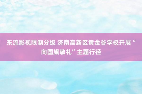 东流影视限制分级 济南高新区黄金谷学校开展“向国旗敬礼”主题行径