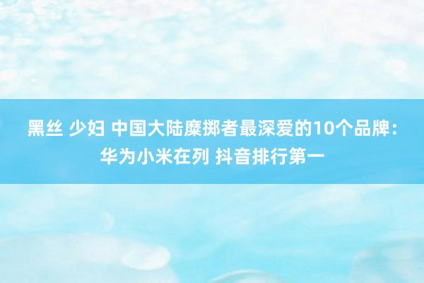 黑丝 少妇 中国大陆糜掷者最深爱的10个品牌：华为小米在列 抖音排行第一