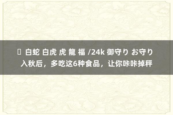 ✨白蛇 白虎 虎 龍 福 /24k 御守り お守り 入秋后，多吃这6种食品，让你咔咔掉秤