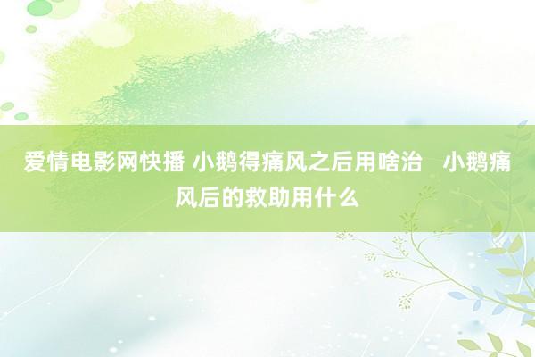 爱情电影网快播 小鹅得痛风之后用啥治   小鹅痛风后的救助用什么