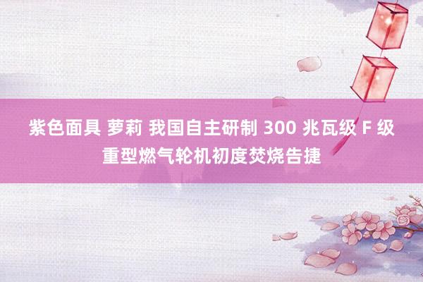 紫色面具 萝莉 我国自主研制 300 兆瓦级 F 级重型燃气轮机初度焚烧告捷