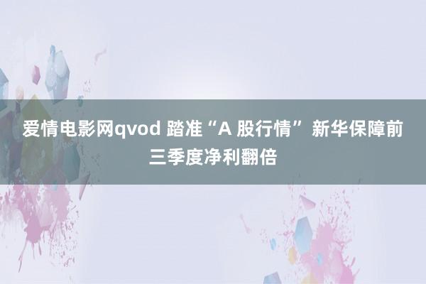 爱情电影网qvod 踏准“A 股行情” 新华保障前三季度净利翻倍