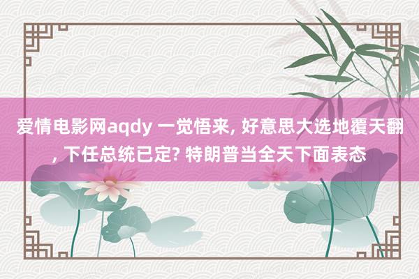 爱情电影网aqdy 一觉悟来， 好意思大选地覆天翻， 下任总统已定? 特朗普当全天下面表态