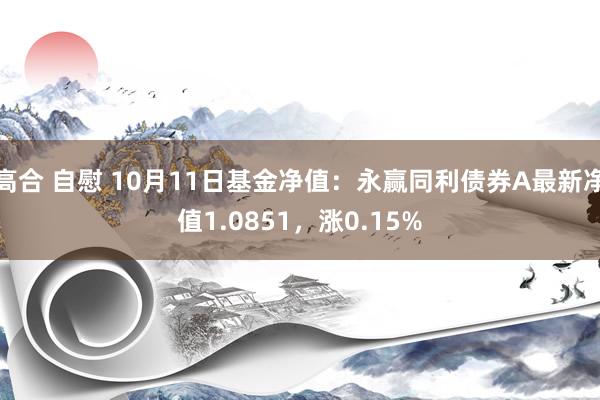 高合 自慰 10月11日基金净值：永赢同利债券A最新净值1.0851，涨0.15%