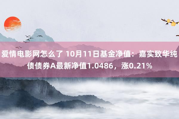 爱情电影网怎么了 10月11日基金净值：嘉实致华纯债债券A最新净值1.0486，涨0.21%