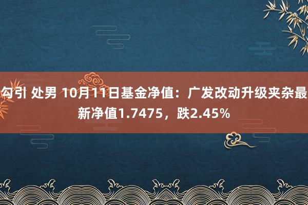 勾引 处男 10月11日基金净值：广发改动升级夹杂最新净值1.7475，跌2.45%