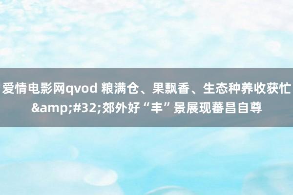 爱情电影网qvod 粮满仓、果飘香、生态种养收获忙&#32;郊外好“丰”景展现蕃昌自尊