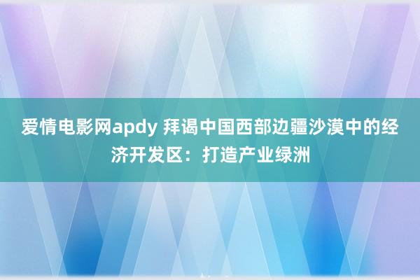 爱情电影网apdy 拜谒中国西部边疆沙漠中的经济开发区：打造产业绿洲