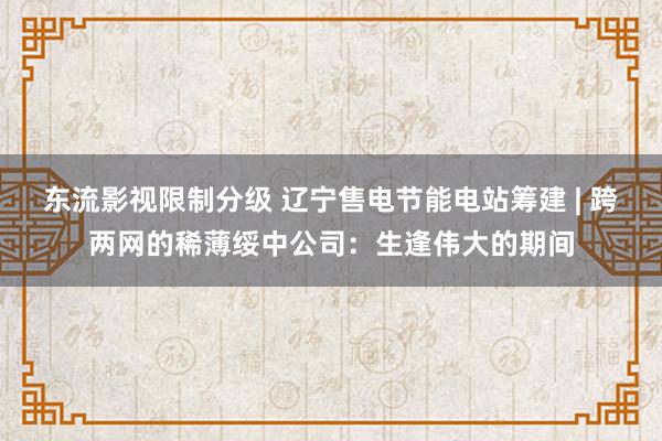 东流影视限制分级 辽宁售电节能电站筹建 | 跨两网的稀薄绥中公司：生逢伟大的期间