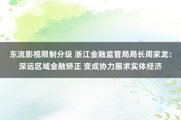 东流影视限制分级 浙江金融监管局局长周家龙：深远区域金融矫正 变成协力服求实体经济