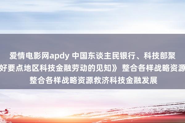 爱情电影网apdy 中国东谈主民银行、科技部聚拢印发《对于作念好要点地区科技金融劳动的见知》 整合各样战略资源救济科技金融发展