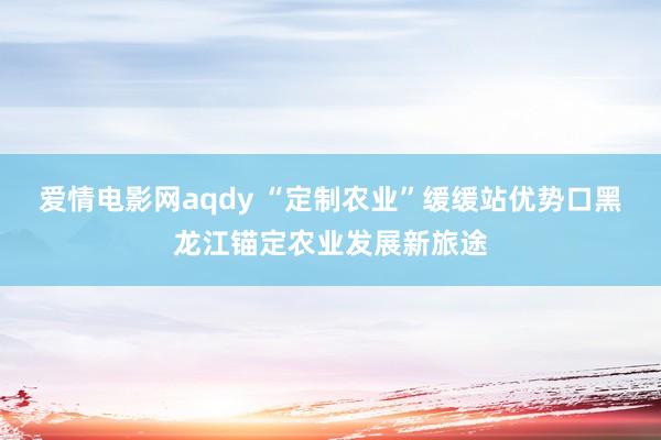 爱情电影网aqdy “定制农业”缓缓站优势口黑龙江锚定农业发展新旅途