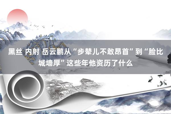 黑丝 内射 岳云鹏从“步辇儿不敢昂首”到“脸比城墙厚”这些年他资历了什么