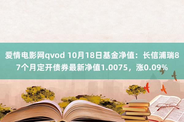 爱情电影网qvod 10月18日基金净值：长信浦瑞87个月定开债券最新净值1.0075，涨0.09%