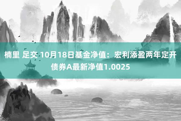 楠里 足交 10月18日基金净值：宏利添盈两年定开债券A最新净值1.0025