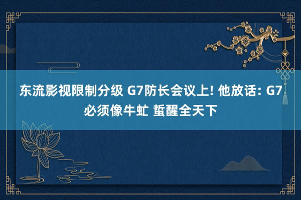 东流影视限制分级 G7防长会议上! 他放话: G7必须像牛虻 蜇醒全天下