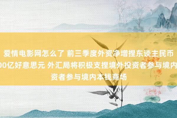 爱情电影网怎么了 前三季度外资净增捏东谈主民币债券超800亿好意思元 外汇局将积极支捏境外投资者参与境内本钱商场