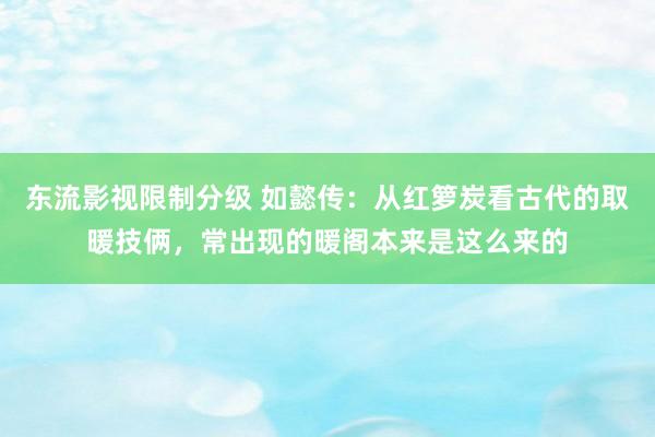 东流影视限制分级 如懿传：从红箩炭看古代的取暖技俩，常出现的暖阁本来是这么来的