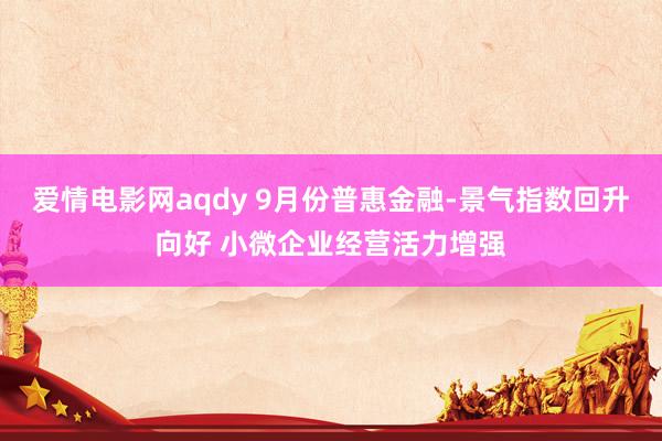 爱情电影网aqdy 9月份普惠金融-景气指数回升向好 小微企业经营活力增强