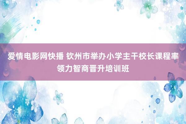 爱情电影网快播 钦州市举办小学主干校长课程率领力智商晋升培训班