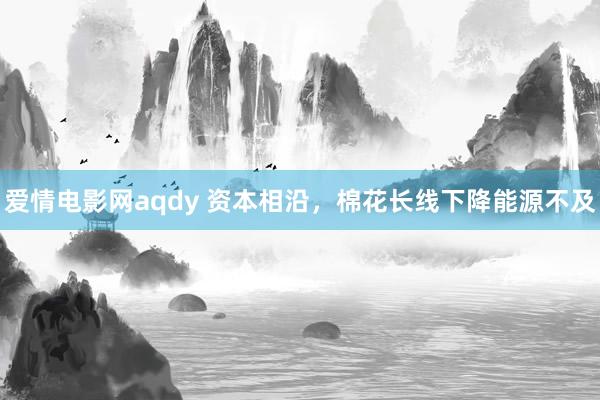 爱情电影网aqdy 资本相沿，棉花长线下降能源不及