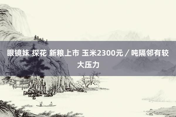 眼镜妹 探花 新粮上市 玉米2300元／吨隔邻有较大压力